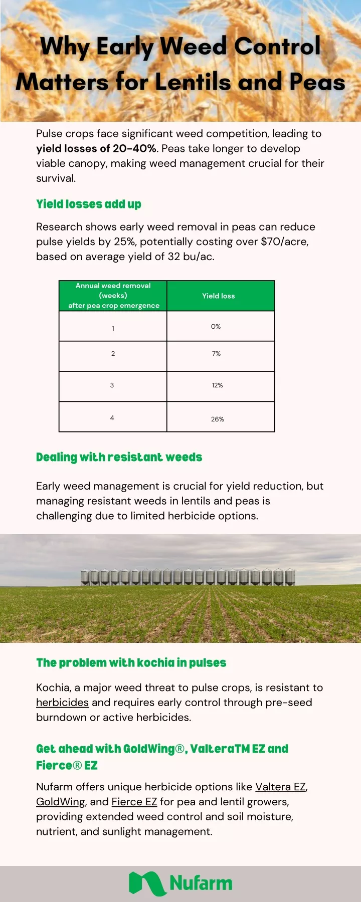 pulse crops face significant weed competition