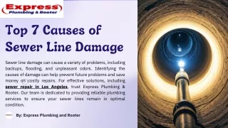 Top 7 Causes of Sewer Line Damage