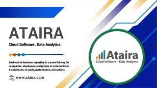 Business Intelligence and Reporting Consulting Services