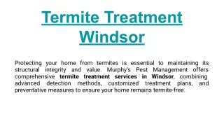 Termite Treatment Windsor