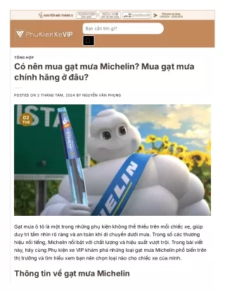 Có nên mua gạt mưa Michelin? Mua gạt mưa chính hãng ở đâu?