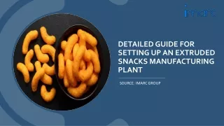 Setting Up a Extruded Snacks Manufacturing Unit PDF