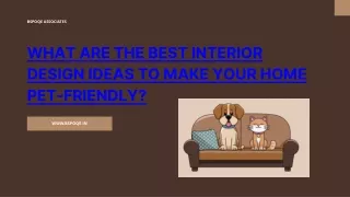 What are the Best Interior Design Ideas to Make Your Home Pet-Friendly