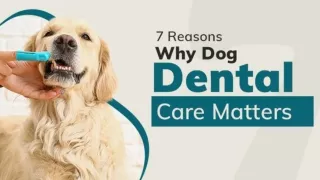 7 Reasons Why Dog Dental Care Matters