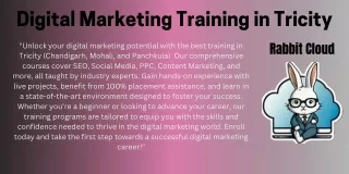 Unlock Your Potential with Premier Digital Marketing Training in Tricity