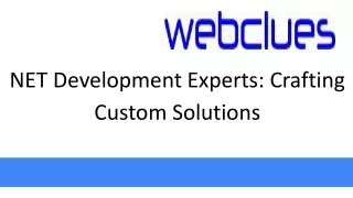 net development experts crafting custom solutions