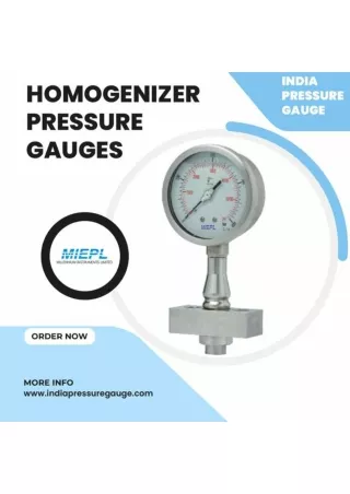 Homogenizer Pressure Gauges - Diaphragm Seal | India Pressure Gauge