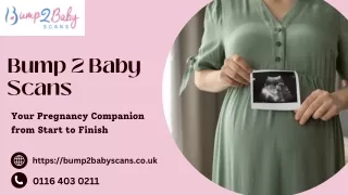 Bump 2 Baby Scans : Your Pregnancy Companion from Start to Finish