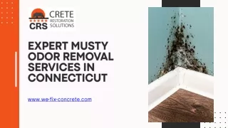 Expert Musty Odor Removal Services