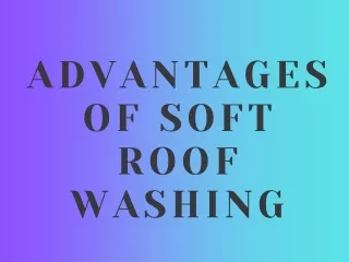 Advantages of Soft Roof Washing