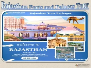 Rajasthan Forts and Palaces Tour