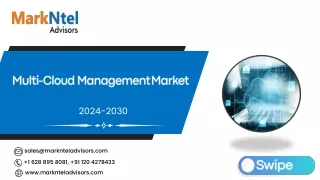 multi cloud management market