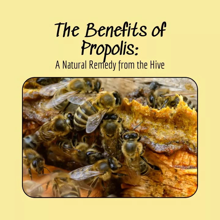 the benefits of propolis a natural remedy from