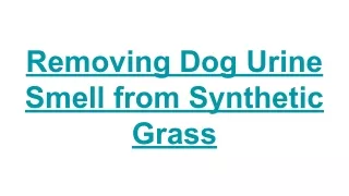 Removing Dog Urine Smell from Synthetic Grass