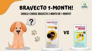 Bravecto 1-Month! Should I choose Bravecto 3-Month or 1-Month?