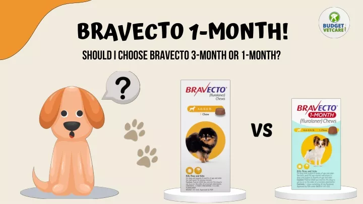 bravecto 1 month