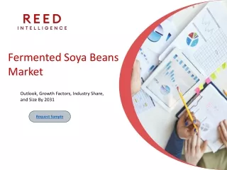 fermented soya beans market