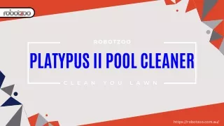 Shop Platypus II Pool Cleaner For Effortless & Efficient Cleaning