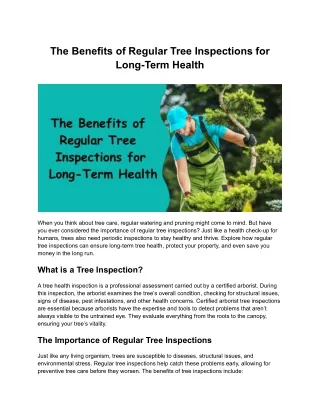 The Benefits of Regular Tree Inspections for Long-Term Health