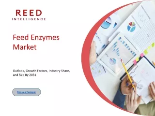 Feed Enzymes Market