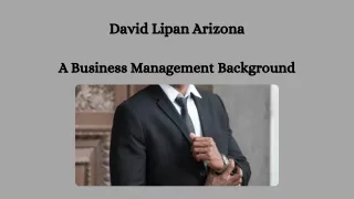 David Lipan Arizona  - A Business Management Background