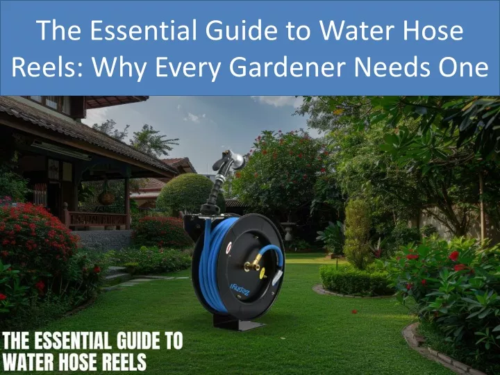 the essential guide to water hose reels why every gardener needs one