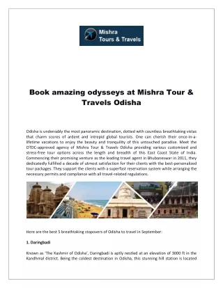 book amazing odysseys at mishra tour travels