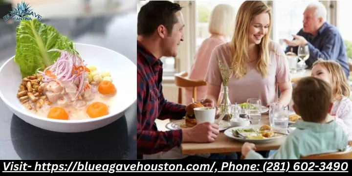 visit https blueagavehouston com phone