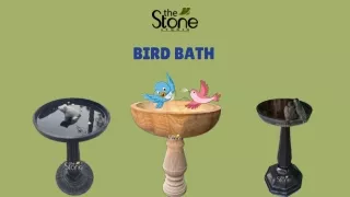 Bird Bath