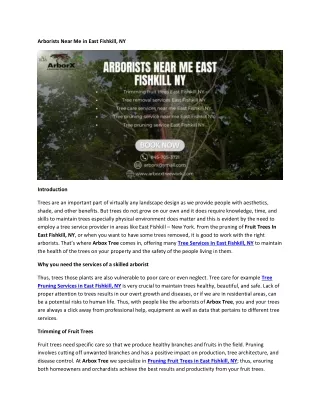 Arborists Near Me in East Fishkill
