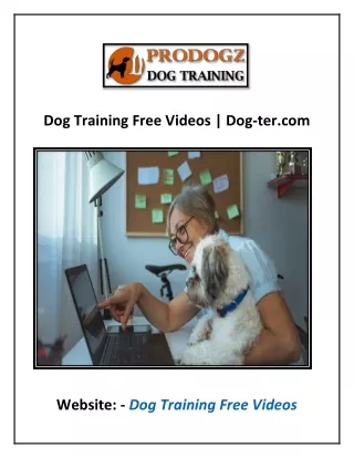 Dog Training Near Me | Dog-ter.com