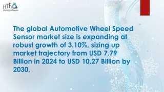 Automotive Wheel Speed Sensor Market Review: All Eyes on 2024 Outlook