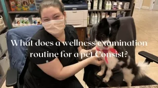 What does a wellness examination routine for a pet Consist?