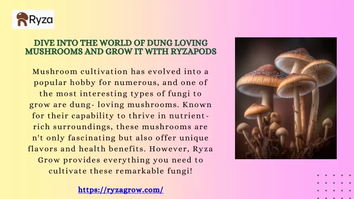 dive into the world of dung loving mushrooms