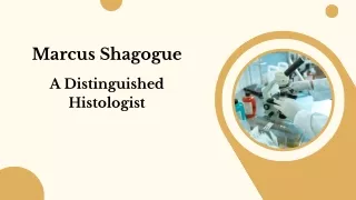 marcus shagogue