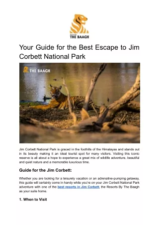 Your Guide for the Best Escape to Jim Corbett National Park