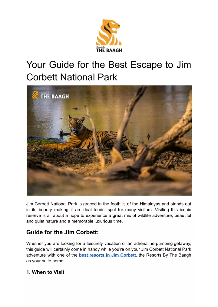 your guide for the best escape to jim corbett