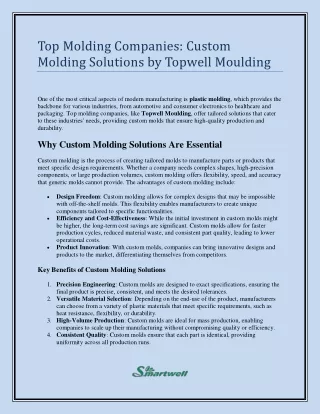Top Molding Companies Custom Molding Solutions by Topwell Moulding
