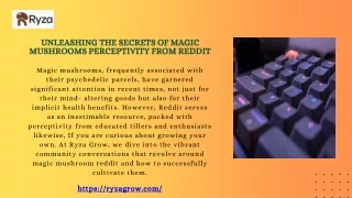 Unleashing the Secrets of Magic Mushrooms perceptivity from Reddit