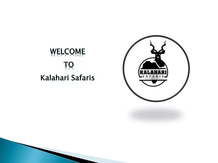 welcome to kalahari safaris