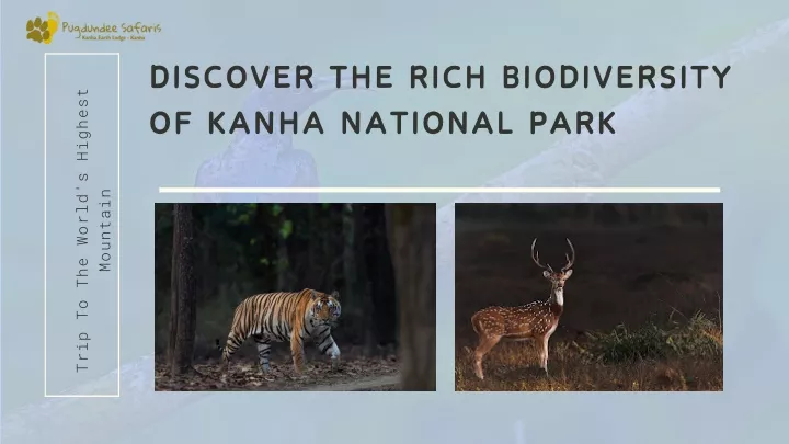 discover the rich biodiversity of kanha national