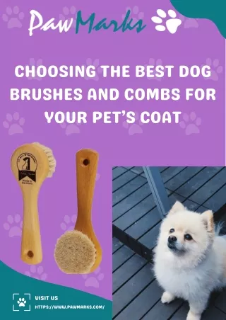Choosing the Best Dog Brushes and Combs for Your Pet’s Coat