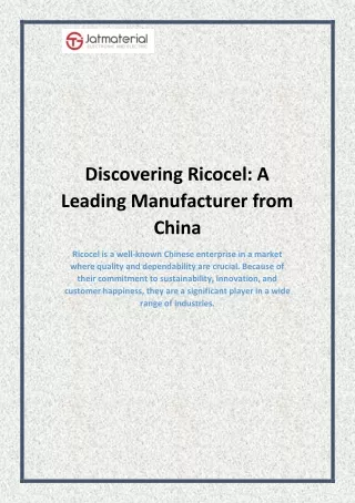 Discovering Ricocel: A Leading Manufacturer from China