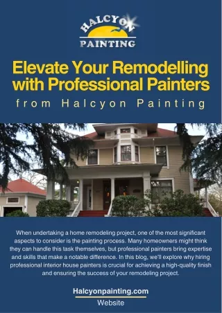 elevate your remodelling with professional
