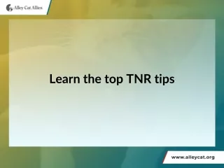 Learn the top TNR tips