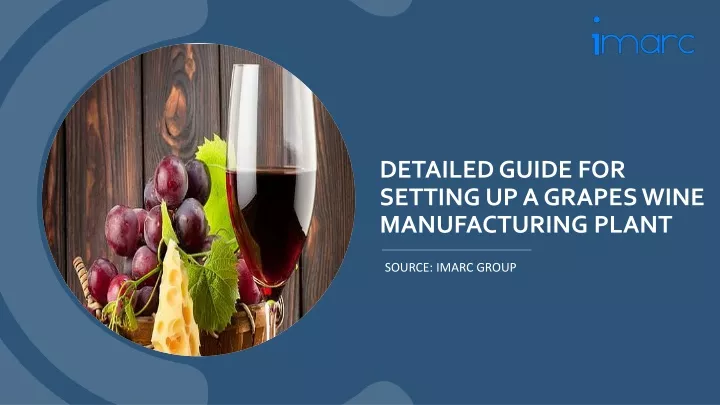 detailed guide for setting up a grapes wine