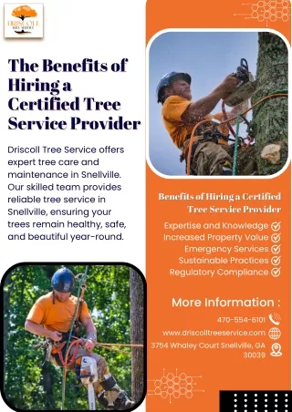 The Benefits of Hiring a Certified Tree Service Provider