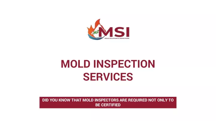 mold inspection services