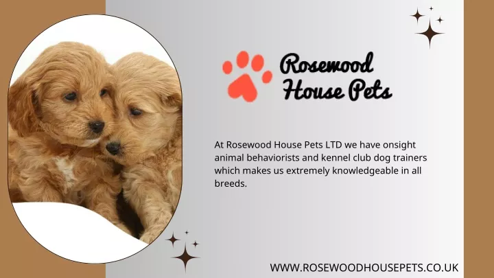 at rosewood house pets ltd we have onsight animal