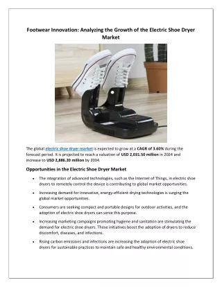 Electric Shoe Dryer Market